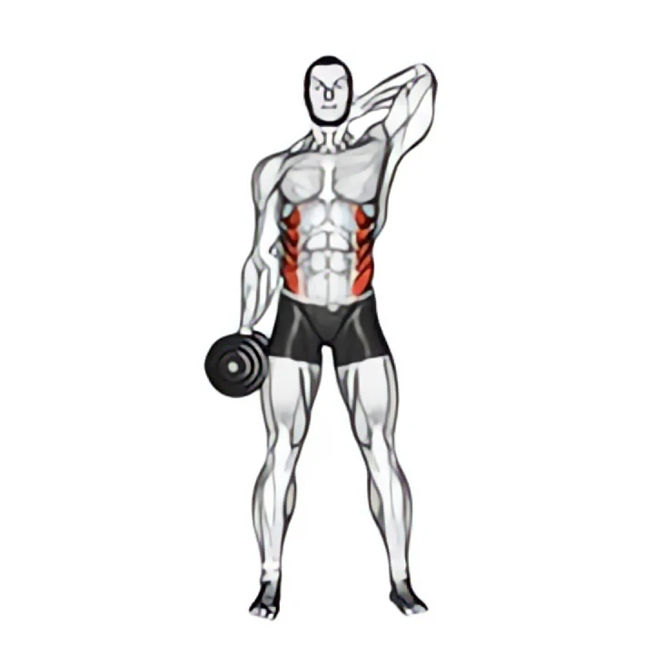 dumbbell side bend