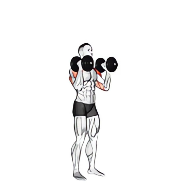 dumbbell standing alternate overhead press