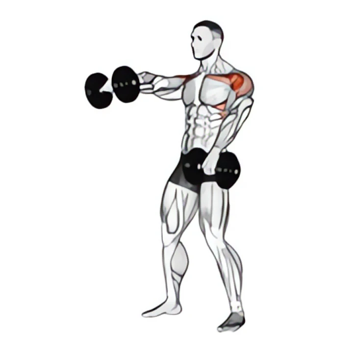 dumbbell standing alternate raise