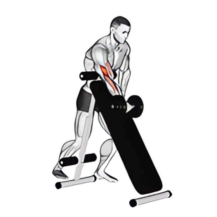 dumbbell standing one arm curl (over incline bench)