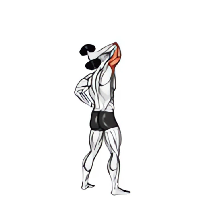 dumbbell standing one arm extension