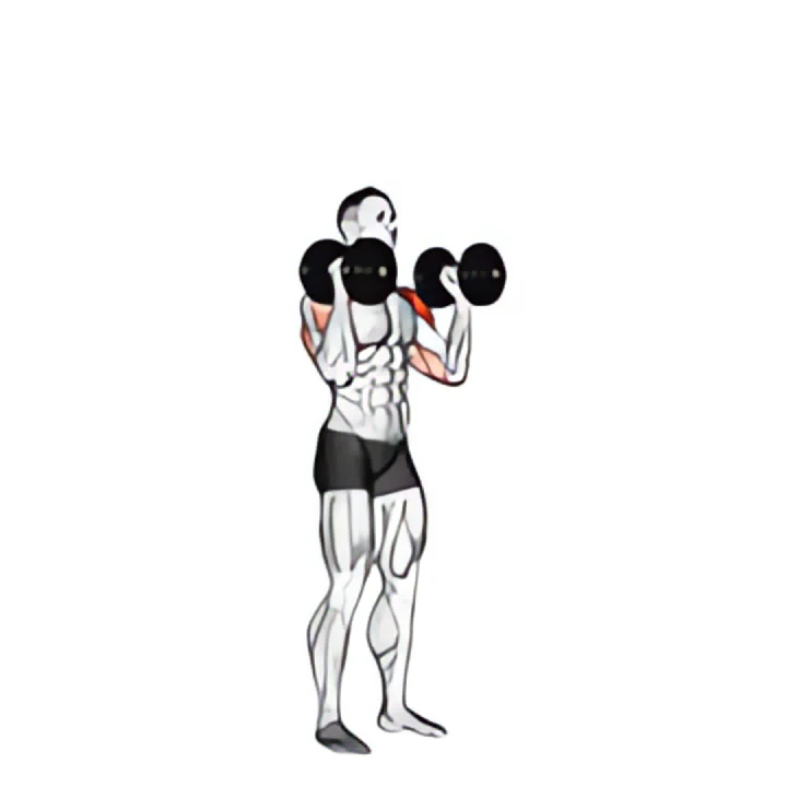 dumbbell standing palms in press