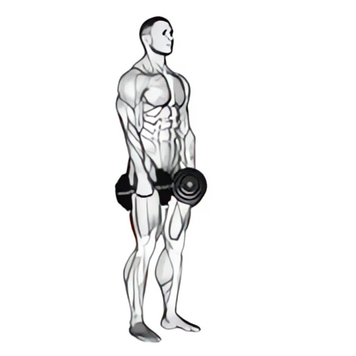 dumbbell stiff leg deadlift