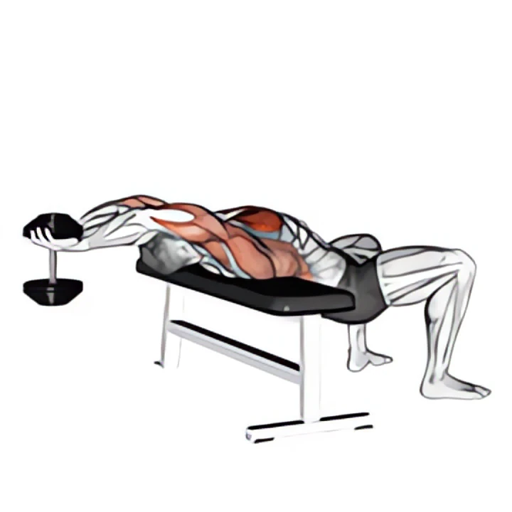 dumbbell straight arm pullover
