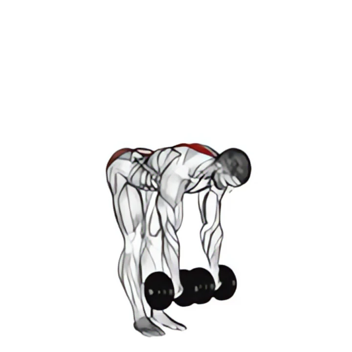dumbbell straight leg deadlift