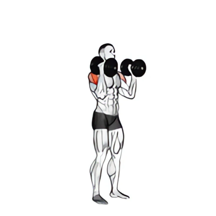 dumbbell w-press