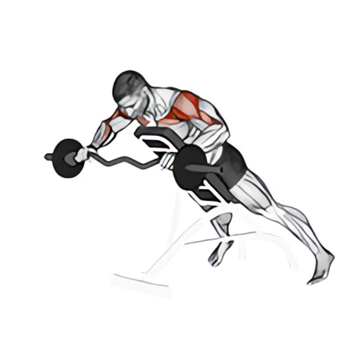 ez barbell anti gravity press