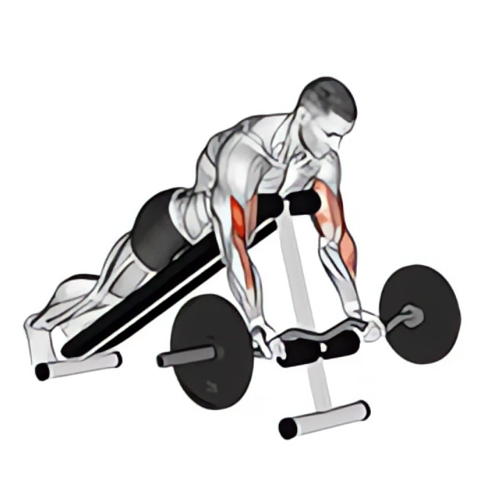 ez barbell spider curl