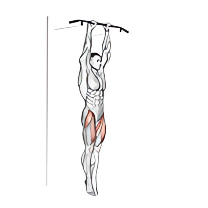 hanging straight leg raise