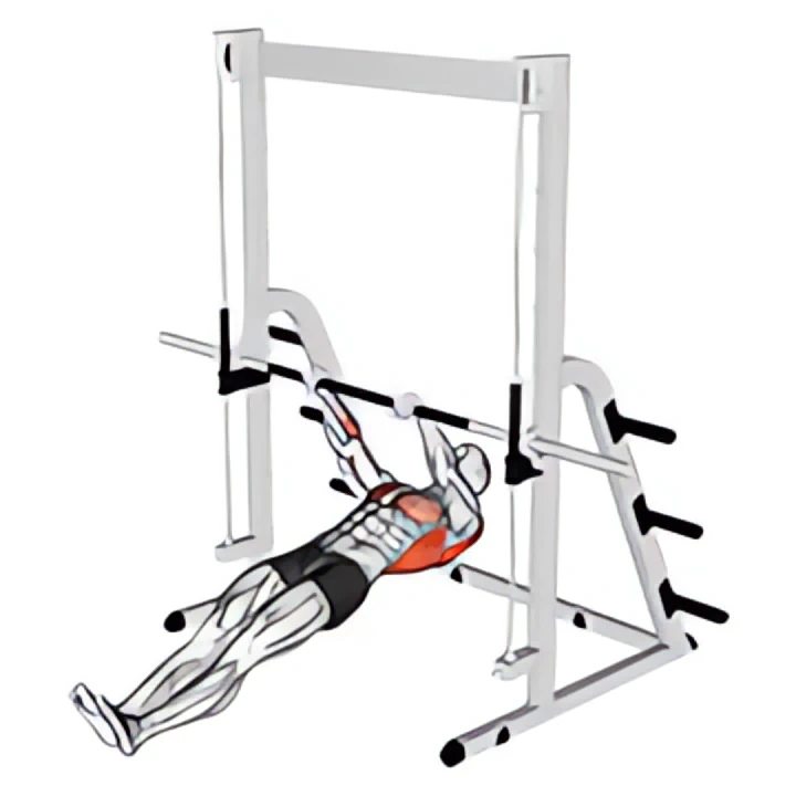 inverted row