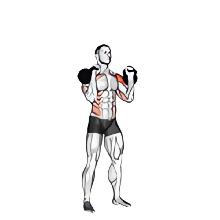 kettlebell seesaw press