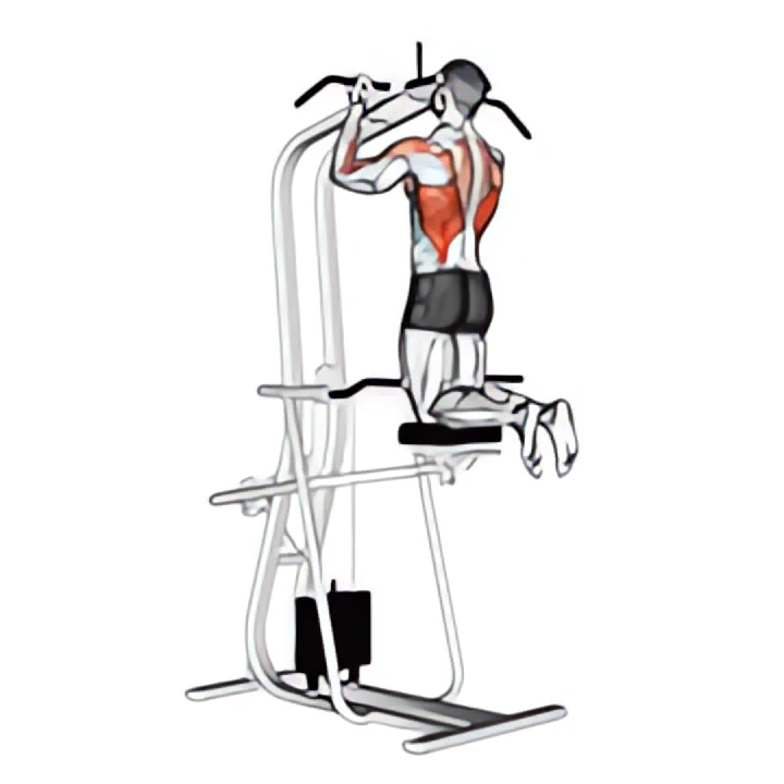 lever assisted chin-up