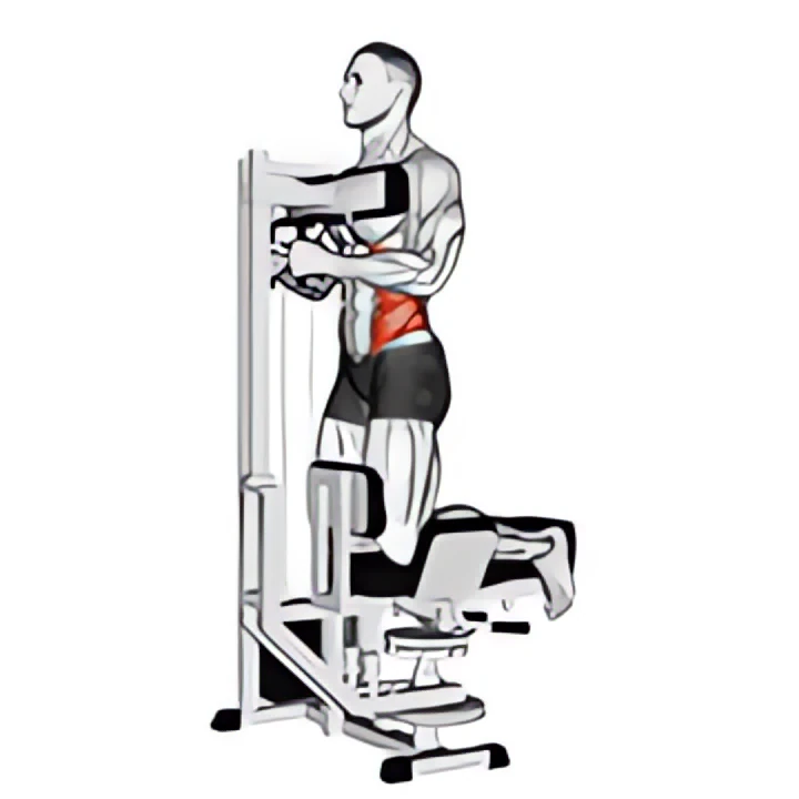 lever kneeling twist