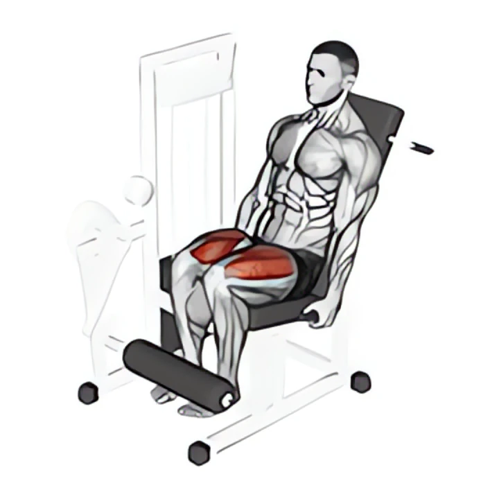 lever leg extension
