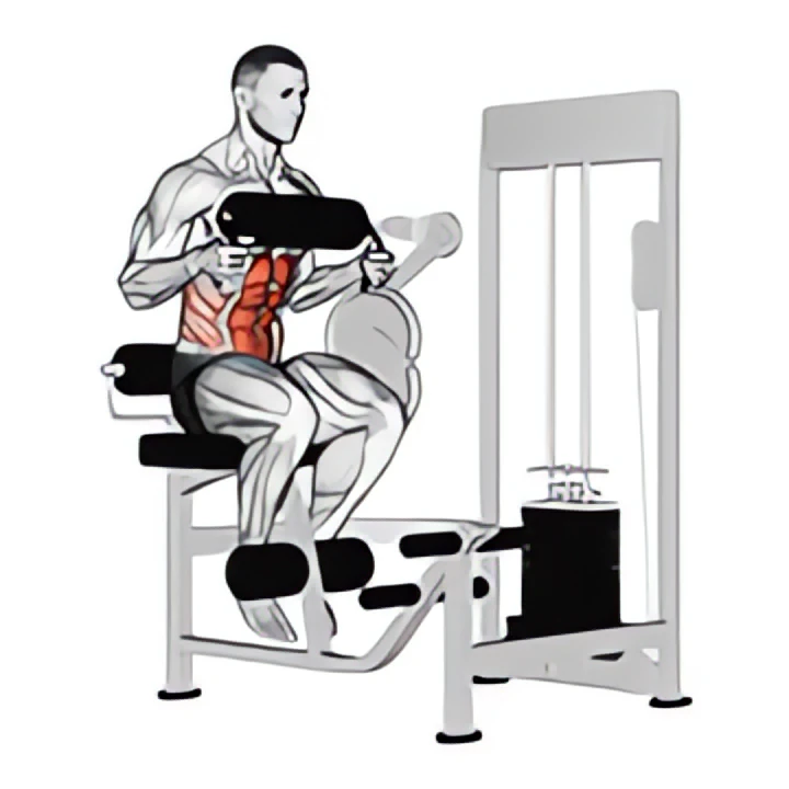 lever seated crunch (chest pad)