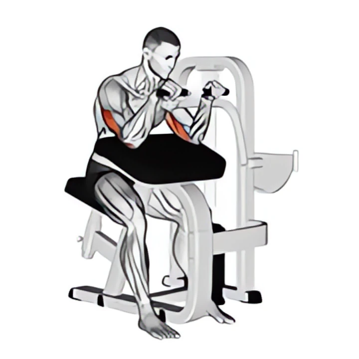lever triceps extension