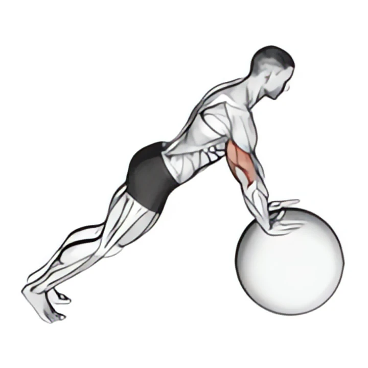 push-up (on stability ball)