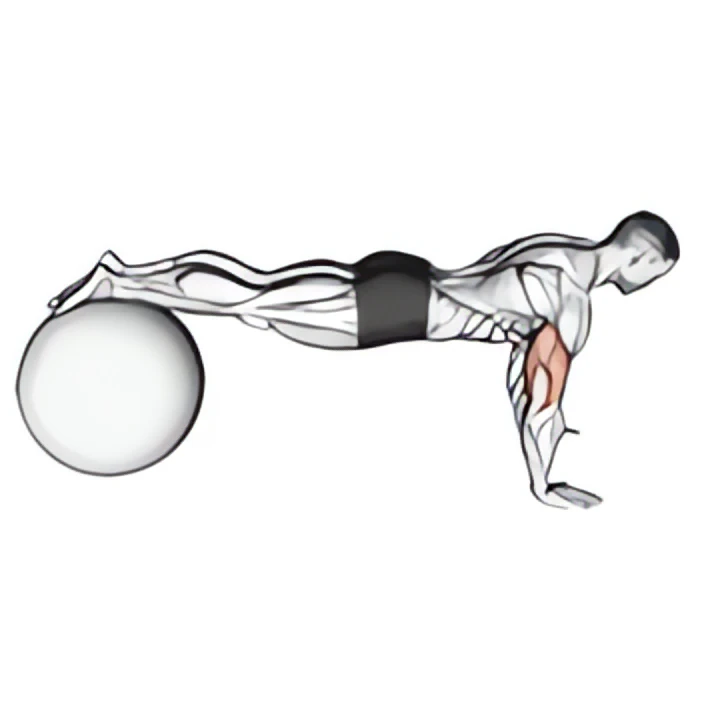 push-up (on stability ball)