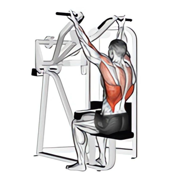 reverse grip machine lat pulldown
