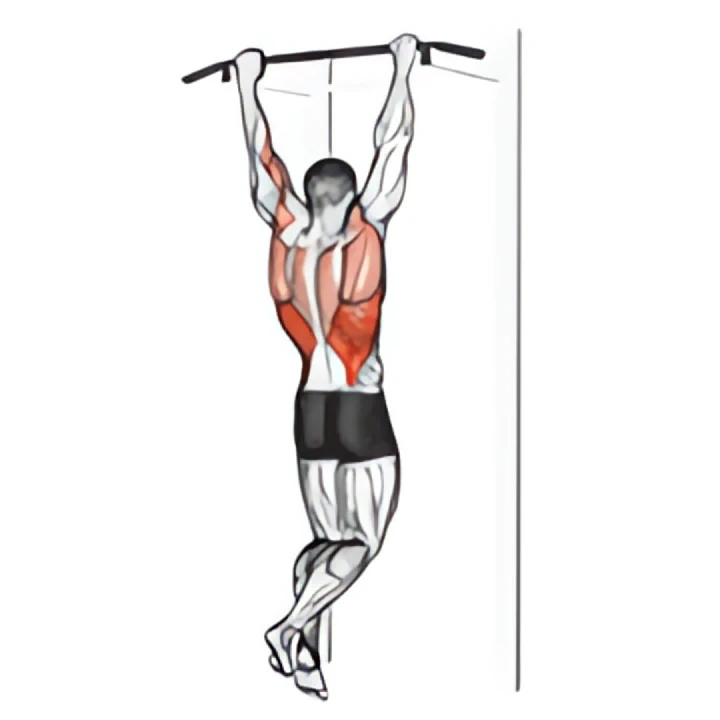 rocky pull-up pulldown