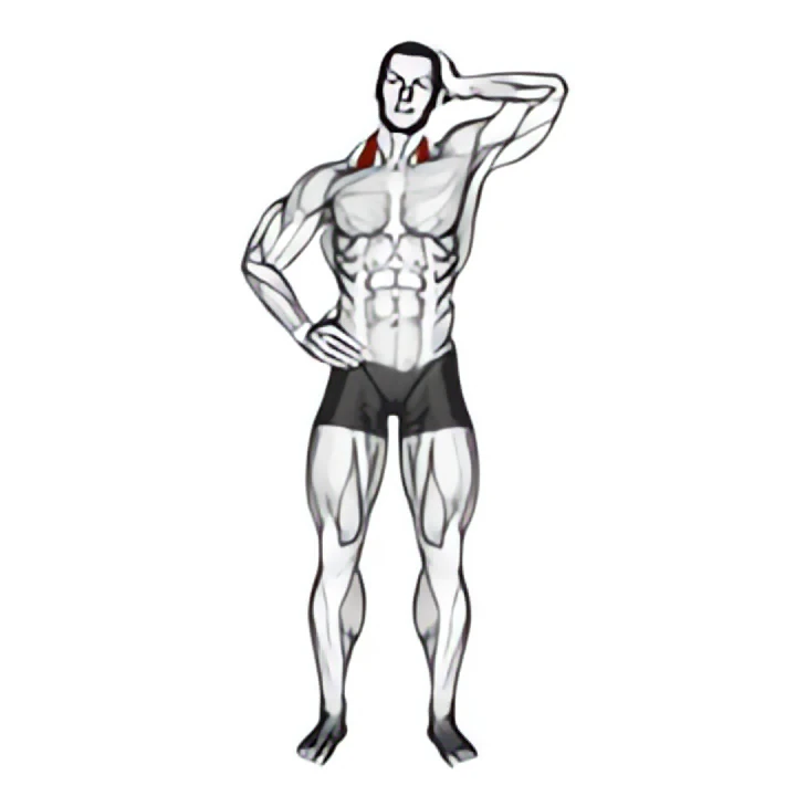 side push neck stretch