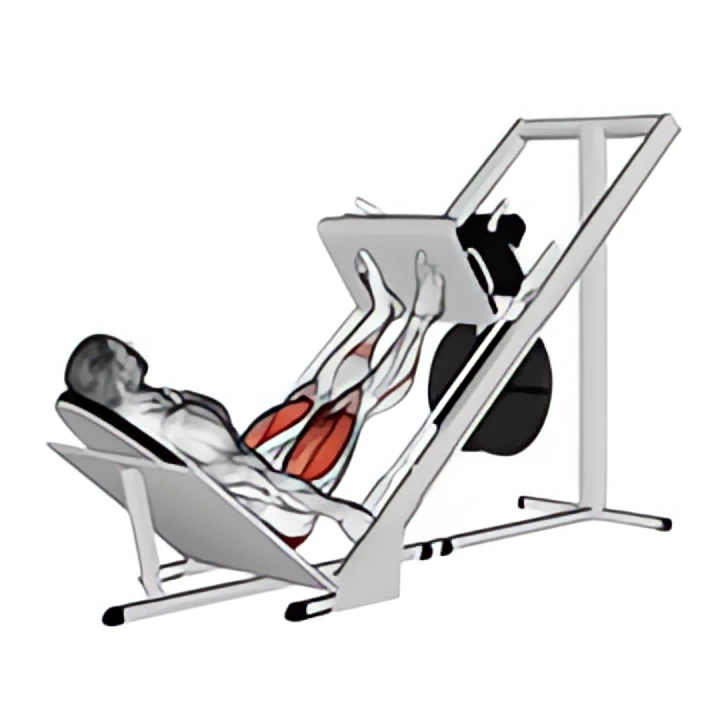 sled 45в° leg press
