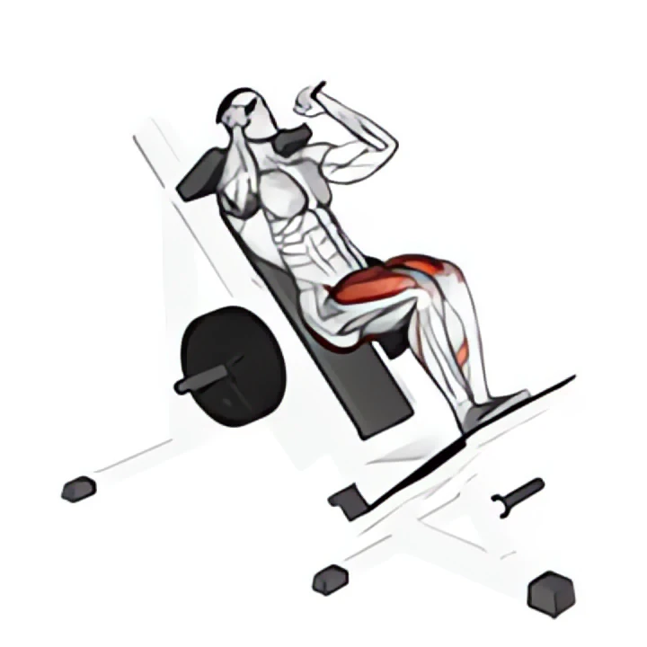 sled closer hack squat
