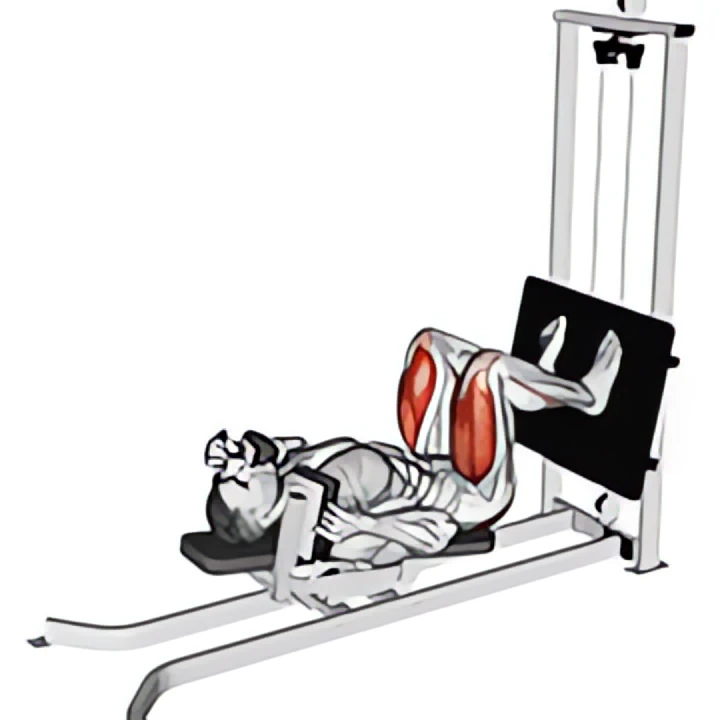 sled lying squat