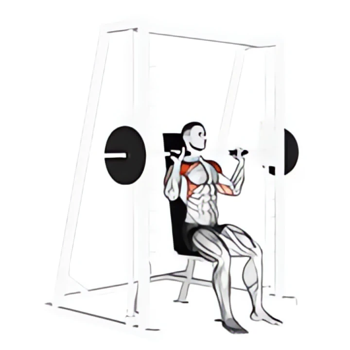smith seated shoulder press