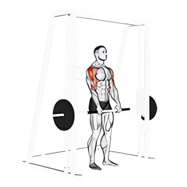 smith upright row