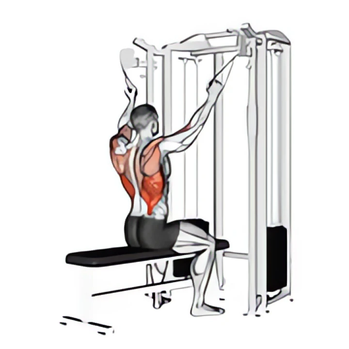 twin handle parallel grip lat pulldown