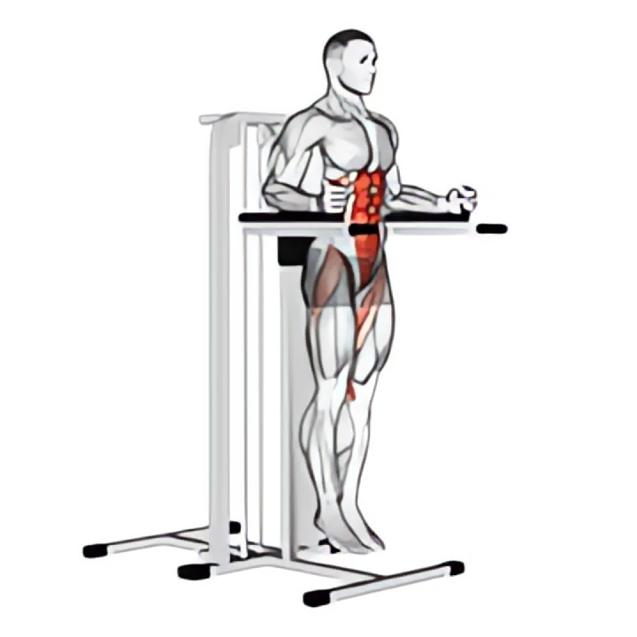 vertical leg raise (on parallel bars)