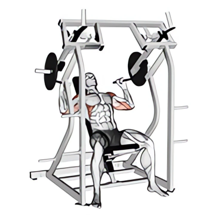 lever shoulder press v. 2