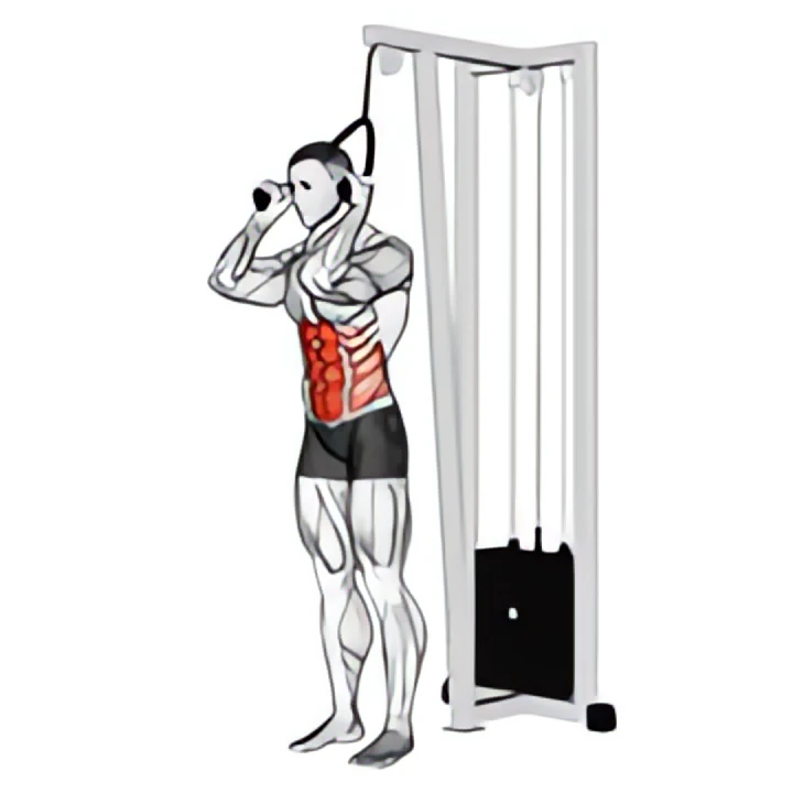 cable standing crunch (with rope attachment)