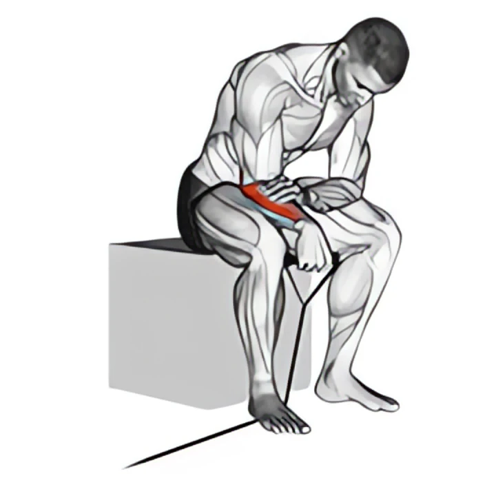 band reverse wrist curl