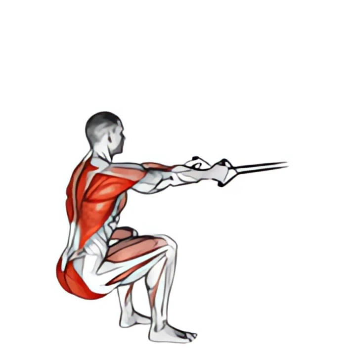 band squat row