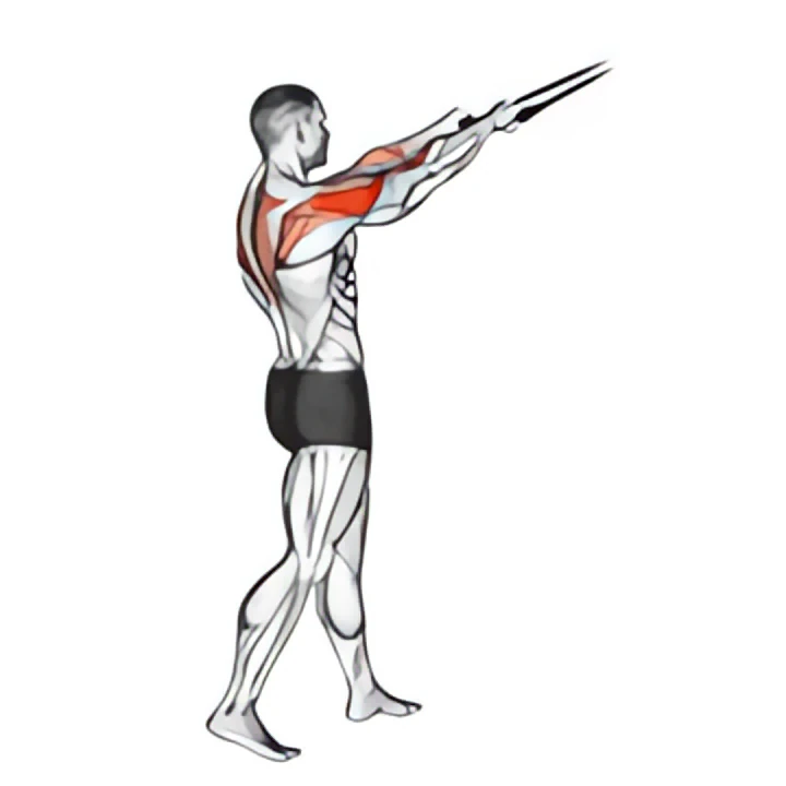 band standing rear delt row
