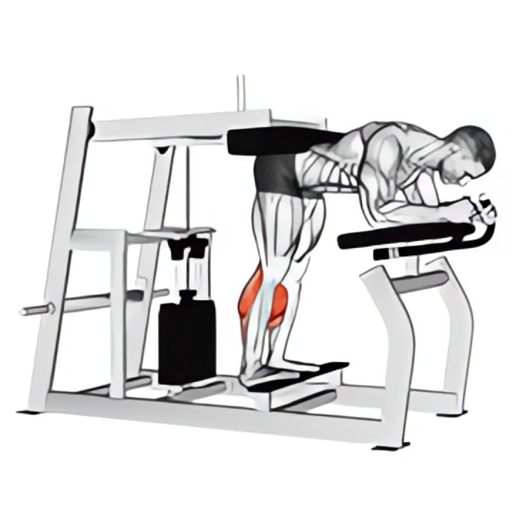 lever donkey calf raise