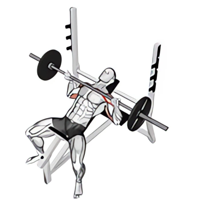 barbell reverse grip incline bench press