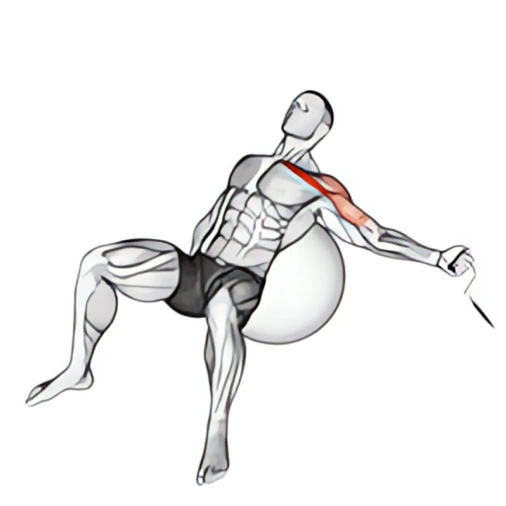 cable one arm incline fly on exercise ball