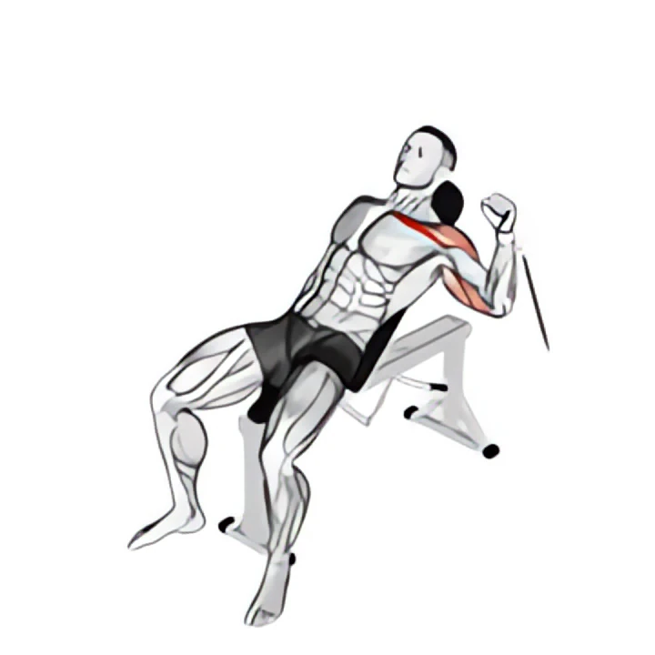 cable one arm incline press
