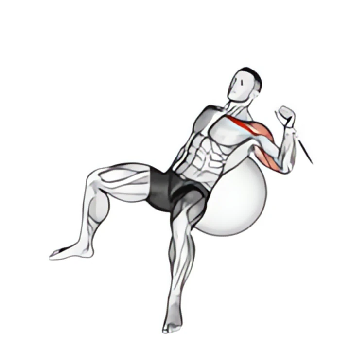 cable one arm incline press on exercise ball
