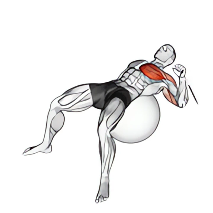 cable one arm press on exercise ball