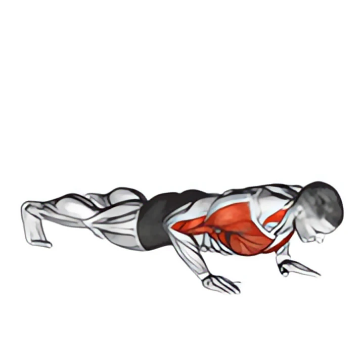 clap push up