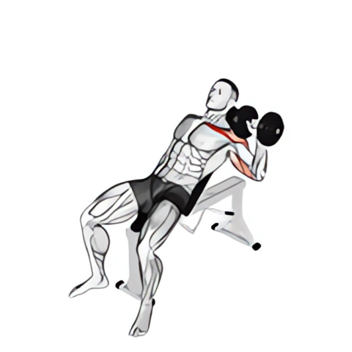 dumbbell incline one arm press
