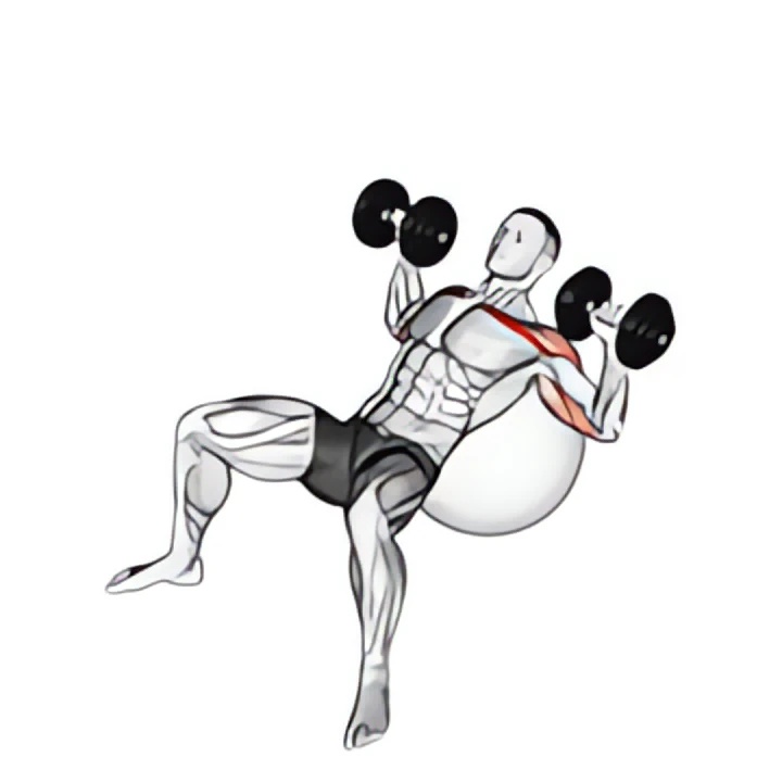 dumbbell incline press on exercise ball