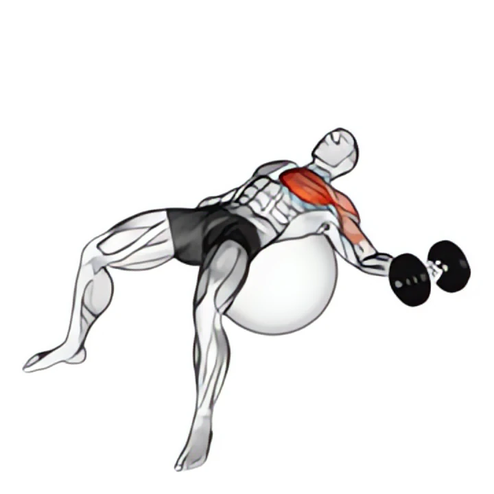 dumbbell one arm chest fly on exercise ball