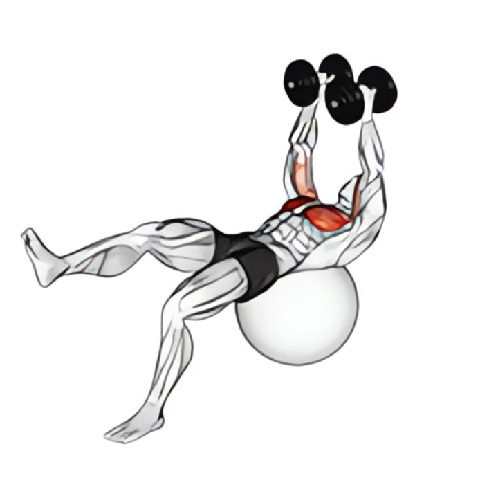 dumbbell one leg fly on exercise ball