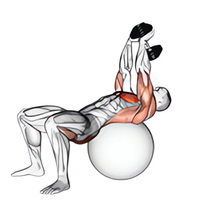 dumbbell pullover hip extension on exercise ball