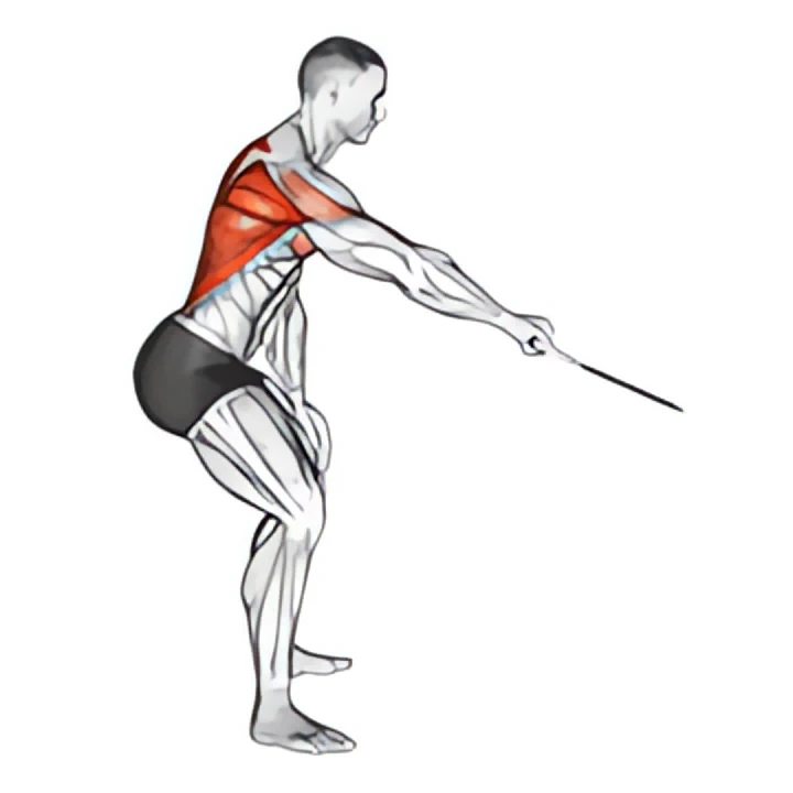 cable palm rotational row